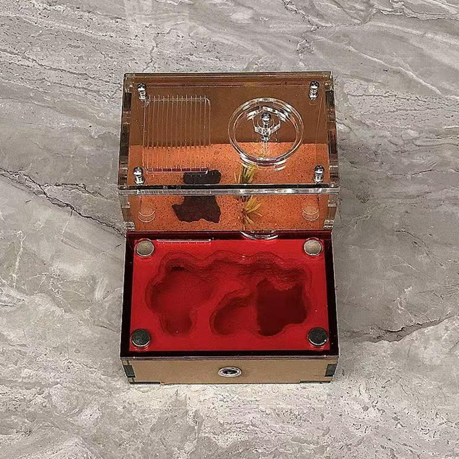 

Мурашина ферма спостереження Формікарій для школи дому дітей Style A