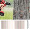 25Pcs Purely Copper Nails to Killing Trees Stump Removal Spikes Hardware Nails Tree Stump Killers Nails Easy to Use