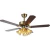 48-inch Remote Control 6-speed Reversible Interior Motor Dual Air Vane Ceiling Fan Lights