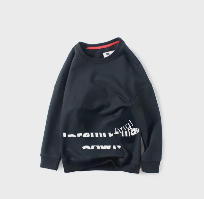 European Kids' Spring Korean-Style Sweater - Long Sleeve English Print Top for Boys