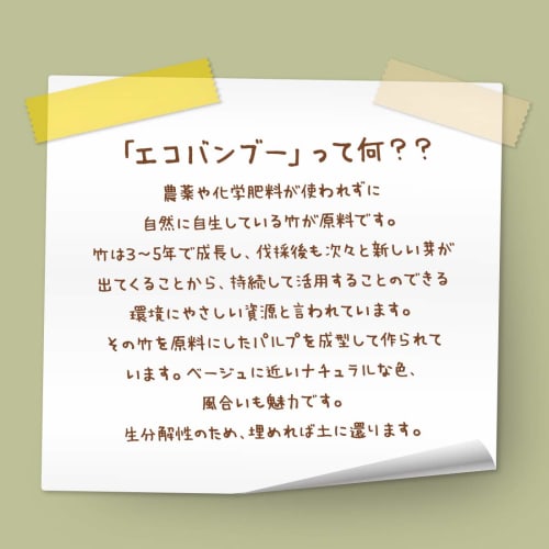 Shimojima Heiko Eco Bamboo Food Pack Paper Plates with Dividers, BFD3-22, 20-count, 004491011, 22.8 X 22.8 X 7.6 Cm (with Dividers)