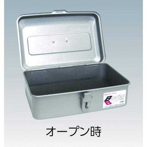 Ringstar Beetle Box, Steel, BT-250 Gunmetallic, L250 X W162 X H93mm