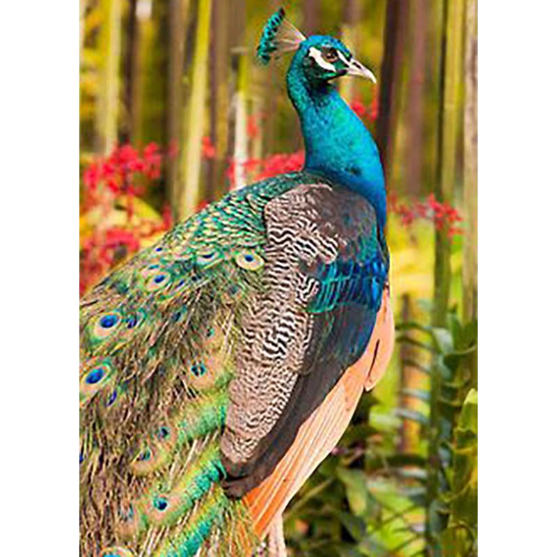 DIY Peacock 5D diamentowe malowanie w pełni z okrągłych wierteł zwierząt diamentowe hafty mozaika krzyż zestaw do szycia Wall ozdoby do dekoracji wnętrz prezent