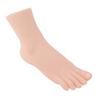 Weibliches rechtes Fußmodell Simuliertes Fußmodell Realistisches Fußmodell für Fußmassage Socken Schuhe Display