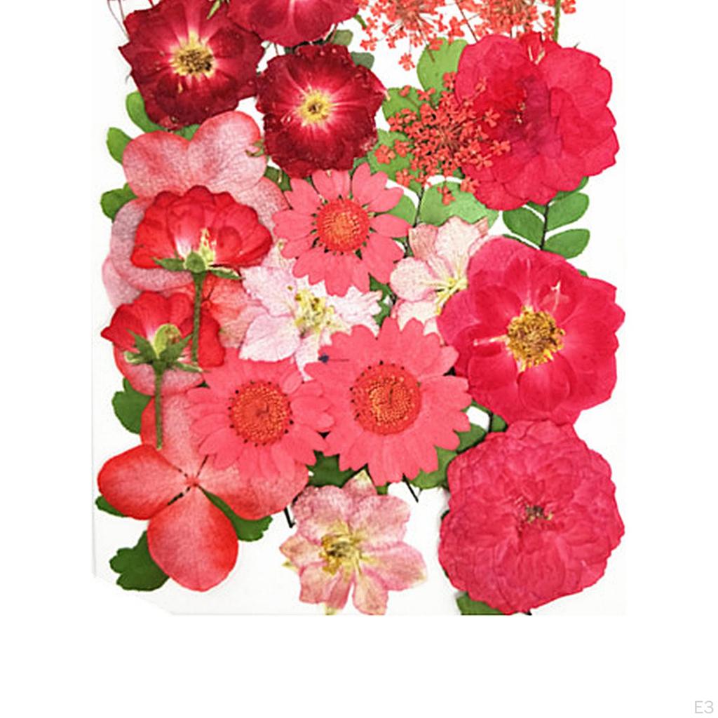 Mixed Dried Pressed Flowers for Wedding Invitations, Envelopes, Bookmarks, Table Decorations,