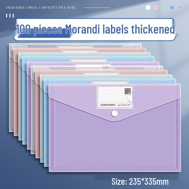 Transparent A4 File Bag, Large Capacity Snap Button, Test Paper & Document Storage for Students