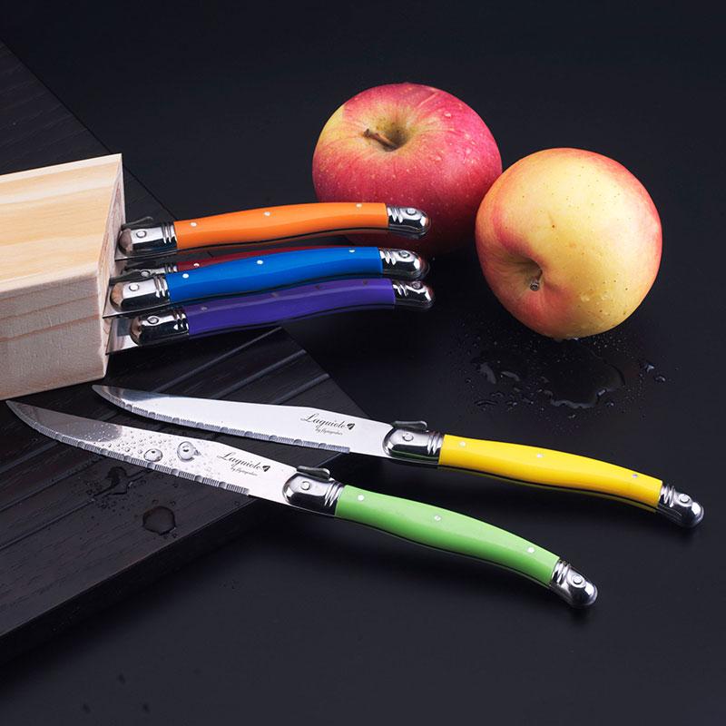 Laguiole Tarzı Biftek Bıçağı Paslanmaz Çelik Gökkuşağı Saplı Yemek Bıçakları Çok Renkli Yemek Takımı Mutfak Sofra Takımı 6 Parça 9 İnç