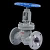 Manual Cast Steel Flange Globe Valve