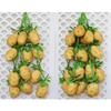 Realistic Fake Vegetables Potato String Hanging Decoration Prop for Kindergarten