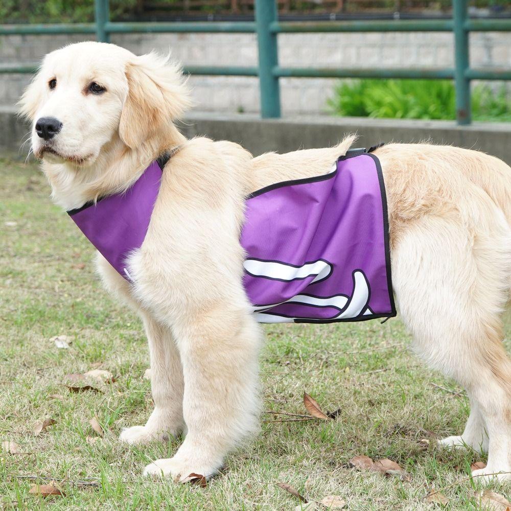 Breathable Dog Bellyband Clothes Anti Dirt Dog Belly Pocket Practical Pet Dog Bib  Training