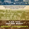 Can You See the Wind by Beverly Gologorsky Paperback Book 9781644211106