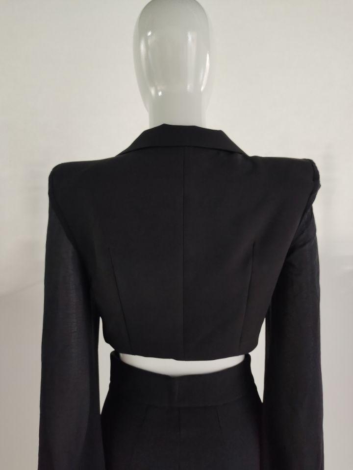 Women's Sheer Wide-Leg Blazer Set