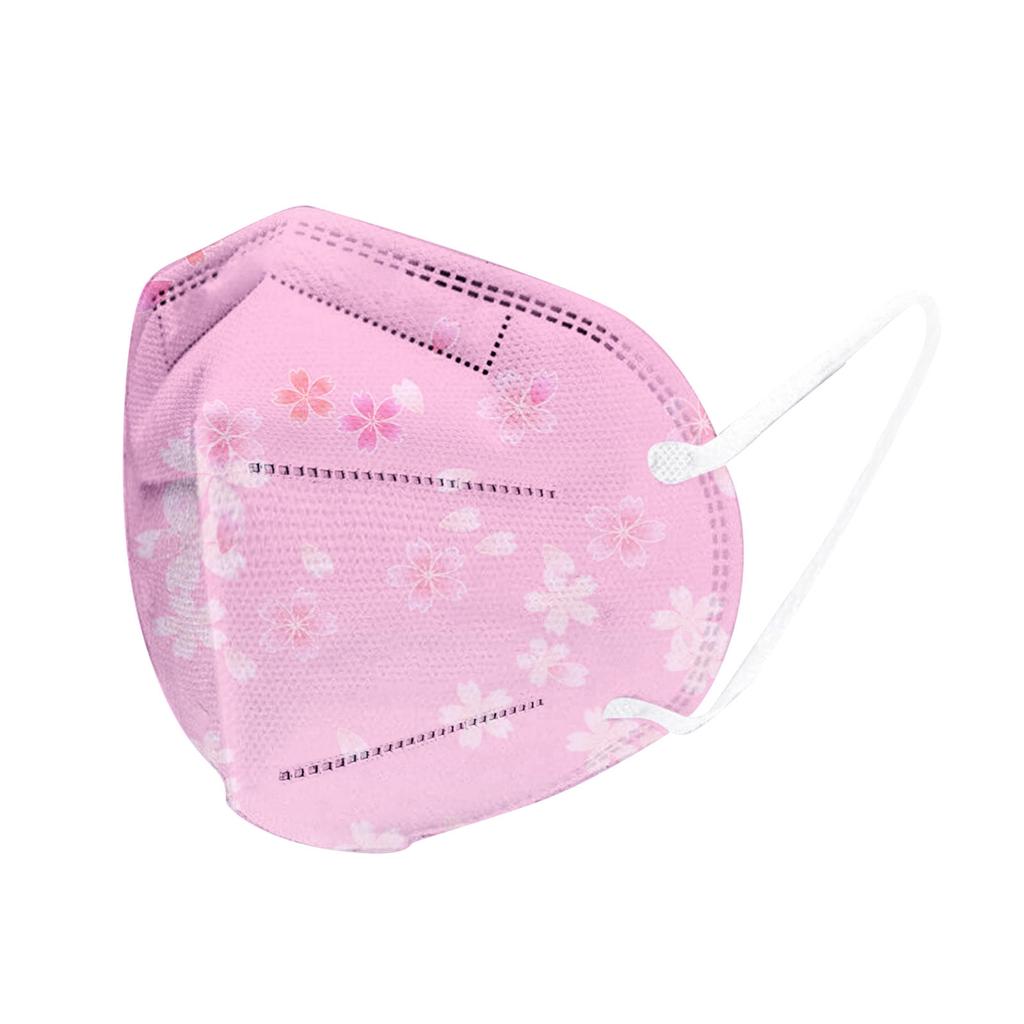 Adult High-Density Mask Wind Mist Pollution Filter