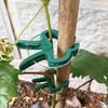 Plant Fixed Clips Reusable Garden Greenhouse Bracket Seedling Stem Support Fastener Garden Climbing Vines Vegetables Fixed Tool