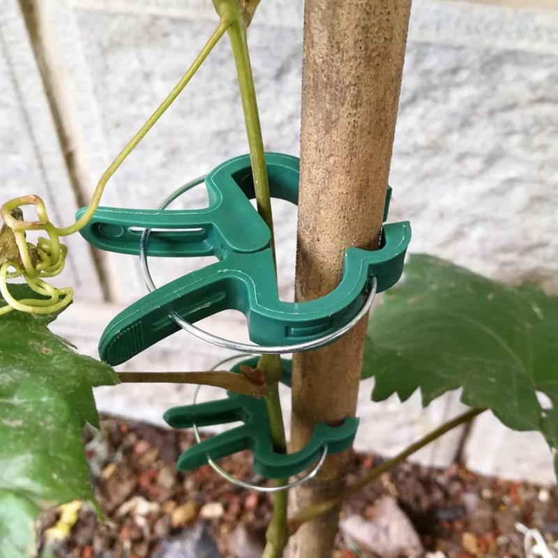 Plant Fixed Clips Reusable Garden Greenhouse Bracket Seedling Stem Support Fastener Garden Climbing Vines Vegetables Fixed Tool