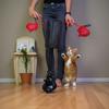 Interactive Cat Punching Bag Cat Boxing Toy with Springy Bobbing Action Dangling Boxing Gloves Punching Bag Play Gym