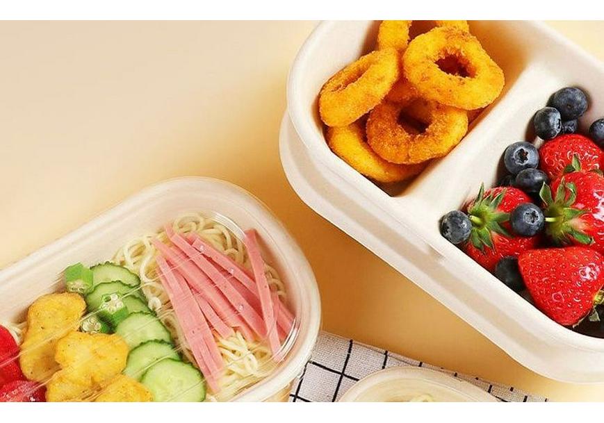 Eco-friendly Biodegradable Disposable Pulp Meal Box for Takeaway Salads and Light Meals