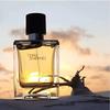 Hermes Terre d'Hermes Eau de Toilette 100ml