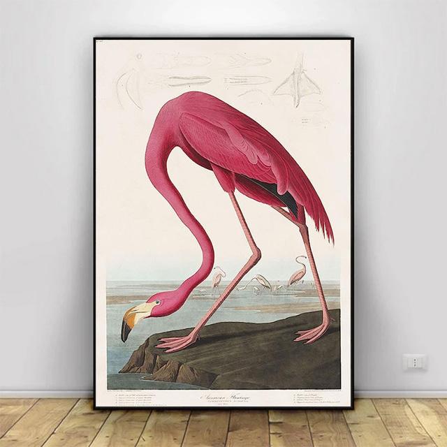 Vintage Bird Prints Retro Animal Art Natural History Canvas Paintings HD Pictures Wall Art For Living Room Home Decor Frameless
