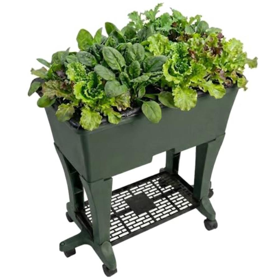 

Raised Garden Bed with Legs Elevated Self Watering Planter Box with Wheels Storage Shelf Premium Plant Food Easy Assembly Made United States