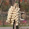 Decorațiuni pentru casă – Flori decorative şi coroane de flori