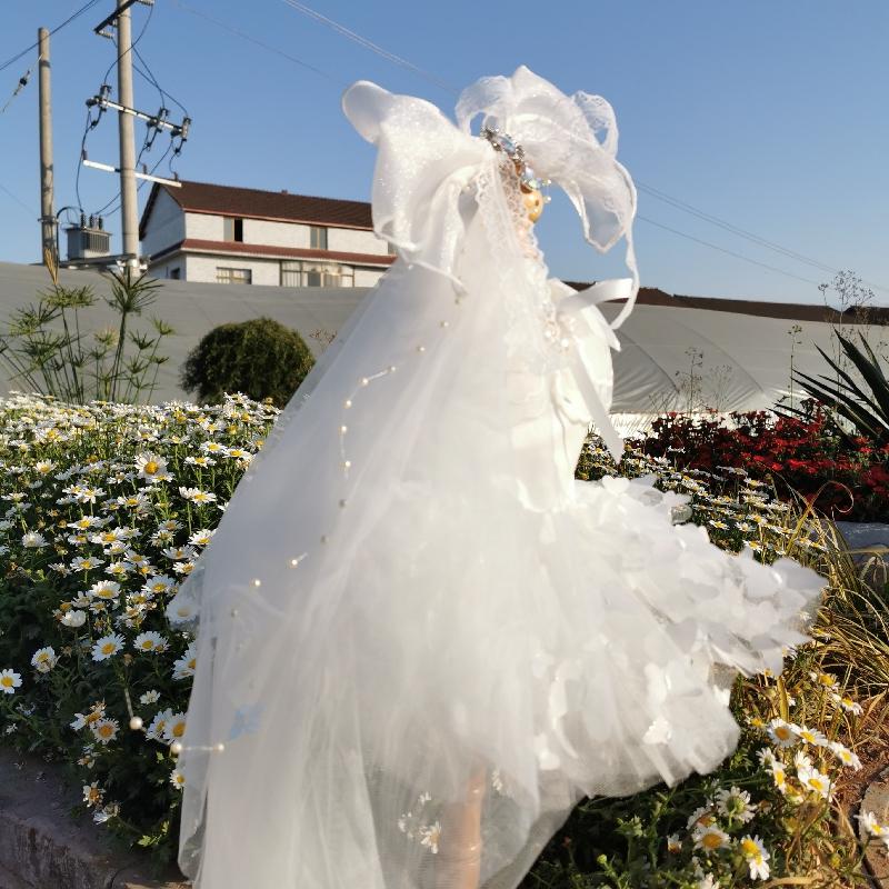 Pure White Wedding Dresses For Small Medium Dogs Puppy Outdoor Coats Fashion Handmade Lace Crystal Bow Dress Pet Dog Clothes
