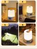 Rechargeable LED Night Light Timing Dimmable USB Table Lamp Baby Nursery Bedside Sleeping Reading Touch Switch Book Desk Lamp