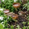 Vintage Weathered Rain Collectors Long Stem Rusty Bird Feeder Metal Bird Bath  Outdoor Garden