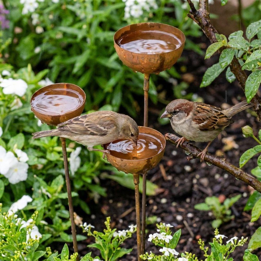 Vintage Weathered Rain Collectors Long Stem Rusty Bird Feeder Metal Bird Bath  Outdoor Garden