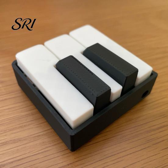 Commuter Stress Toy Mini Piano Keychain, Key Clicker, Playable Fingertip Relief Clicker with Metal Ring, Classic Black White Keys for Music Lovers And