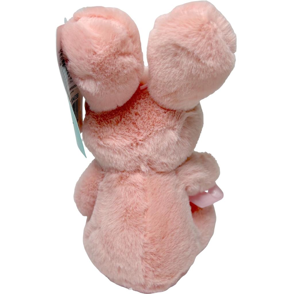 Q-FLA Fresh Rabbit Plush Toy, SA Salmon, Gift Item, 804038