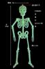 Svítící Kostra Panenka 30cm Sada 3 Luminous Skeleton Toy Party Room Autodekorace Hororová Figurka