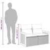 VidaXL 2-seater Garden Sofa with Cushions Grey Braided Resin 366130