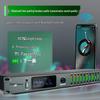 Professional Karaoke Stage & Home Audio Processor with Preamp, Anti-Howl, Equalizer, and Reverb Effects