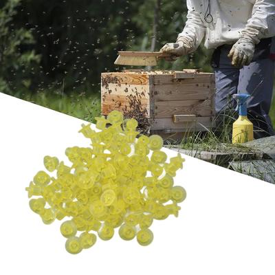 100PCS Bee Rearing Cup Plastic Vivid Color Beekeeping Bee Cell Cup for Beekeeper