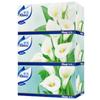 2-Ply Facial Tissues