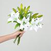 Artifical Lily Flower Full Bloom Faux Lily Flower 1 Head 2 Buds Fake Real Touch Lily Branch for Home Party Wedding Table Centerpiece Decor