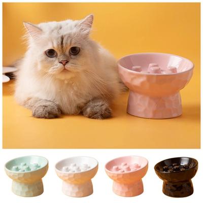Gatos – Louça para gatos