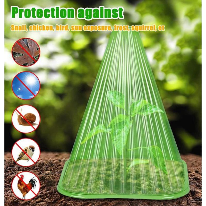 10 szt. Pudełko do wzrostu Namiot do sadzenia Wielokrotnego użytku Kwadratowe Użycie Osłona zegara roślinnego Do ochrony roślin przed ptakami, mrozem i uszkodzeniami ślimaków Zielony
