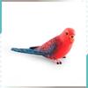 Parrot Figurine Pvc Educational Toy For Children Classroom And Home Use
