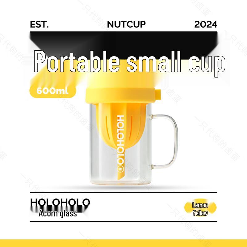 HOLOHOLO Glass Tea Infuser Straw Bottle 600ml