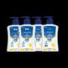 Lanjuli Antibacterial Hand Sanitizer 450ml 4-Pack