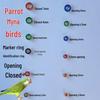 Inele de picior din aliaj placat electric pentru identificarea papagalilor Myna, Finch, Peruş, Cocchetă - Design aleatoriu cu caracter
