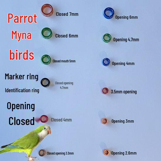 Inele de picior din aliaj placat electric pentru identificarea papagalilor Myna, Finch, Peruş, Cocchetă - Design aleatoriu cu caracter