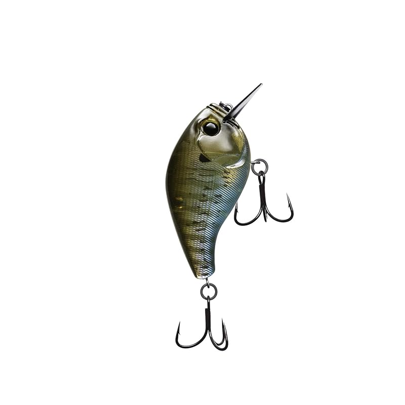 

Scamp 1.5 - square building Rusty Bream