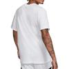 Jordan T Shirts Men's Crew Neck Moderate Straight Fit CK4213-100