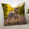 Pillow Cover Customize Schnauzer Pillow Case Modern Home Decorative Pillowcase For Living Room 45X45Cm,40X40Cm A.4.29