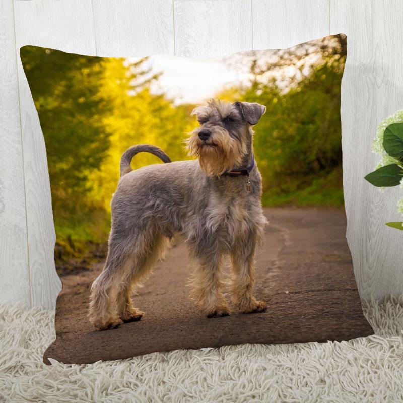 Pillow Cover Customize Schnauzer Pillow Case Modern Home Decorative Pillowcase For Living Room 45X45Cm,40X40Cm A.4.29
