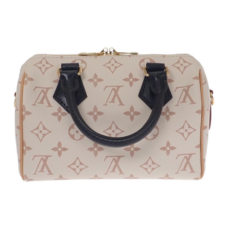 LOUIS VUITTON M46906 2WAY bag white/beige Women