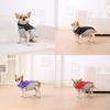Winter Pet Dog Clothes For Small Medium Dogs Cats Reflective Puppy Jacket Coat Cat Clothing with D-ring Chihuahua Pug Overalls